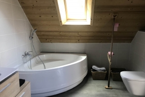 new-salle de bain chambre Laponie.jpg